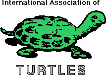 Are you a Turtle?